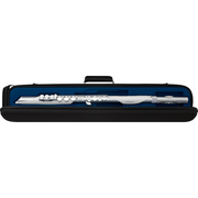 Roland Aerophone Brisa Digital Wind Instrument