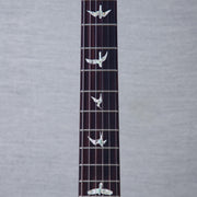 PRS Custom 24 10-Top Solid Body Electric Guitar - Aurora Borealis - #0410980