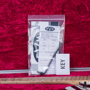 EVH Custom Shop Special Edition Wolfgang Stripes Electric Guitar - White/Black Stripes - #WG17574A
