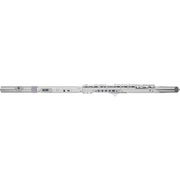 Roland Aerophone Brisa Digital Wind Instrument