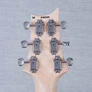PRS Fiore Satin Electric Guitar - Hibiscus - #250410149