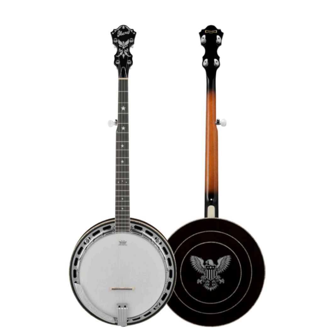 Ibanez Limited Edition BA250 Banjo