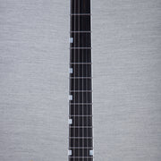 ESP USA M-II DX Electric Guitar - Rasberry - #US24062