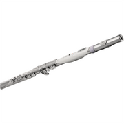 Roland Aerophone Brisa Digital Wind Instrument