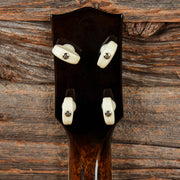 Gold Tone Concert Banjolele - MUSICTONER