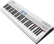 Roland Go:Piano GO-61P-A Digital Piano w/ Alexa Built In