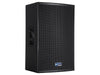 RCF TT25 High Output Two-Way Passive Speaker