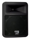 Peavey PR15D Powered Full Range Speaker