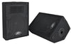 Peavey 570810 - PVi 10 (Pair) two-way speaker system
