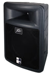 Peavey PR 15 Passive Full Range Speaker