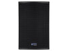 RCF TT25 High Output Two-Way Passive Speaker