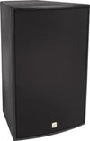 Peavey SSE 118 Passive Subwoofer