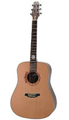 Peavey Jack Daniels JD-AG2 Acoustic Guitar
