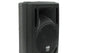Gemini RS-308 Passive Full Range Speaker
