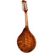 Eastman Limited Edition MD505 A-Style Mandolin - Black Top