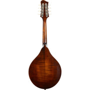 Eastman Limited Edition MD505 A-Style Mandolin - Black Top