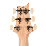PRS Limited Edition CE 22 Carroll Blue - MUSICTONER