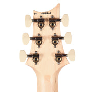 PRS Limited Edition CE 24 Special HSH Carroll Blue - MUSICTONER