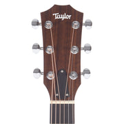 Taylor BBT Walnut - MUSICTONER