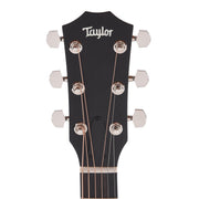 Taylor 414ce Studio Special Edition Grand Auditorium Sitka/Indian Rosewood Natural Top ES2 - MUSICTONER