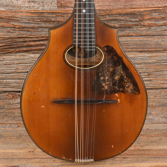 Vega Cylinderback Mandolin Natural 1913 - MUSICTONER