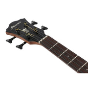 Ibanez AEGB25ETKH Acoustic Electric Bass Transparent Black Sunburst High Gloss